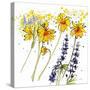 Wild Sunflowers and Lupine-Shirley Novak-Stretched Canvas