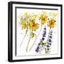 Wild Sunflowers and Lupine-Shirley Novak-Framed Art Print