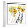 Wild Sunflowers and Lupine-Shirley Novak-Framed Art Print