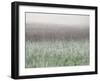 Wild Thistle-null-Framed Photographic Print
