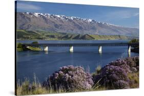 Wild Thyme in Flower in Spring, Deadman's Point Bridge and Lake Dunstan, South Island, New Zealand-David Wall-Stretched Canvas