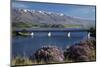 Wild Thyme in Flower in Spring, Deadman's Point Bridge and Lake Dunstan, South Island, New Zealand-David Wall-Mounted Photographic Print