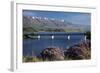 Wild Thyme in Flower in Spring, Deadman's Point Bridge and Lake Dunstan, South Island, New Zealand-David Wall-Framed Photographic Print