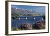 Wild Thyme in Flower in Spring, Deadman's Point Bridge and Lake Dunstan, South Island, New Zealand-David Wall-Framed Photographic Print