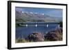 Wild Thyme in Flower in Spring, Deadman's Point Bridge and Lake Dunstan, South Island, New Zealand-David Wall-Framed Photographic Print