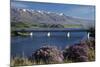 Wild Thyme in Flower in Spring, Deadman's Point Bridge and Lake Dunstan, South Island, New Zealand-David Wall-Mounted Photographic Print