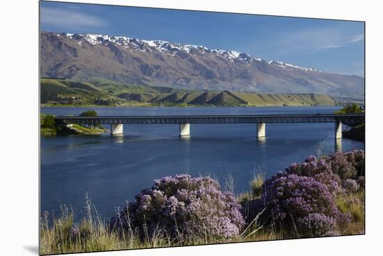 Wild Thyme in Flower in Spring, Deadman's Point Bridge and Lake Dunstan, South Island, New Zealand-David Wall-Mounted Premium Photographic Print