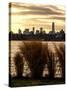 Wild to Manhattan with the One World Trade Center (1WTC) at Sunset-Philippe Hugonnard-Stretched Canvas