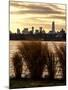 Wild to Manhattan with the One World Trade Center (1WTC) at Sunset-Philippe Hugonnard-Mounted Photographic Print