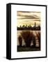 Wild to Manhattan with the One World Trade Center at Sunset-Philippe Hugonnard-Framed Stretched Canvas