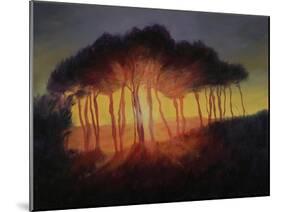 Wild Trees at Sunset, 2002-Antonia Myatt-Mounted Giclee Print