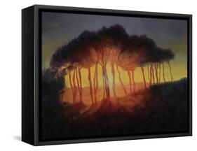 Wild Trees at Sunset, 2002-Antonia Myatt-Framed Stretched Canvas