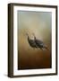 Wild Turkey at Shiloh-Jai Johnson-Framed Giclee Print