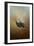 Wild Turkey at Shiloh-Jai Johnson-Framed Giclee Print