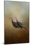 Wild Turkey at Shiloh-Jai Johnson-Mounted Giclee Print