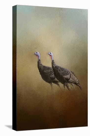 Wild Turkey at Shiloh-Jai Johnson-Stretched Canvas