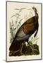 Wild Turkey I-John James Audubon-Mounted Art Print