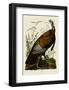 Wild Turkey I-John James Audubon-Framed Giclee Print