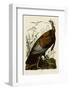 Wild Turkey I-John James Audubon-Framed Giclee Print