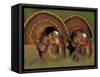 Wild Turkey Males Displaying, Texas, USA-Rolf Nussbaumer-Framed Stretched Canvas