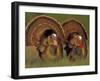 Wild Turkey Males Displaying, Texas, USA-Rolf Nussbaumer-Framed Photographic Print