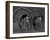 Wild Turkey Males Displaying, Texas, USA-Rolf Nussbaumer-Framed Photographic Print