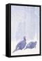 Wild Turkey (Meleagris gallopavo) two gobblers in snow storm, Ohio, USA-S & D & K Maslowski-Framed Stretched Canvas