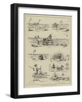 Wild Turkey Shooting in New South Wales-null-Framed Giclee Print