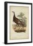 Wild Turkey-Charles L^ Bonapart-Framed Art Print