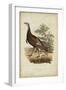 Wild Turkey-Charles L^ Bonapart-Framed Art Print