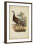 Wild Turkey-Charles L^ Bonapart-Framed Art Print