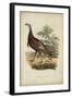 Wild Turkey-Charles L^ Bonapart-Framed Art Print