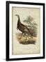 Wild Turkey-Charles L^ Bonapart-Framed Art Print