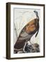 Wild Turkey-John James Audubon-Framed Art Print