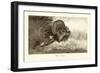 Wild Turkey-A. Thorburn-Framed Art Print