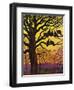 "Wild Turkeys Roosting,"November 1, 1938-Paul Bransom-Framed Giclee Print