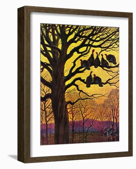 "Wild Turkeys Roosting,"November 1, 1938-Paul Bransom-Framed Giclee Print