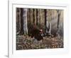 Wild Turkeys-Will Goebel-Framed Art Print