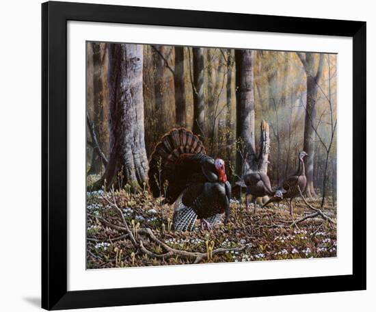 Wild Turkeys-Will Goebel-Framed Art Print