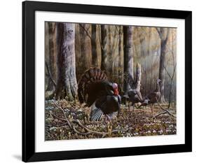 Wild Turkeys-Will Goebel-Framed Art Print