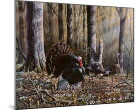 Wild Turkeys-Will Goebel-Mounted Art Print