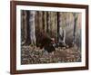 Wild Turkeys-Will Goebel-Framed Art Print