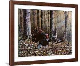 Wild Turkeys-Will Goebel-Framed Art Print