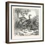 Wild Turkeys-null-Framed Giclee Print