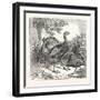 Wild Turkeys-null-Framed Giclee Print