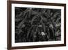 Wild Vista-Andrew Geiger-Framed Giclee Print