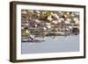 Wild Water Lilies-Michele Westmorland-Framed Photographic Print