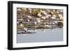 Wild Water Lilies-Michele Westmorland-Framed Photographic Print