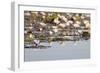 Wild Water Lilies-Michele Westmorland-Framed Photographic Print