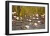 Wild Water Lilies-Michele Westmorland-Framed Photographic Print